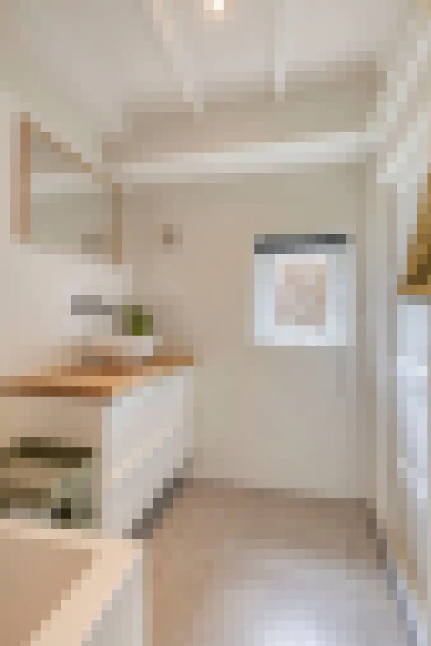 Schalmstraat 23 Eindhoven thumbnail 19