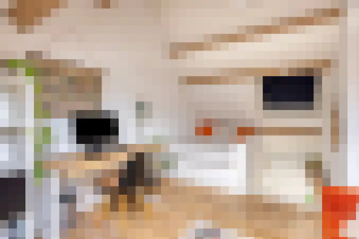 Schalmstraat 23 Eindhoven thumbnail 21