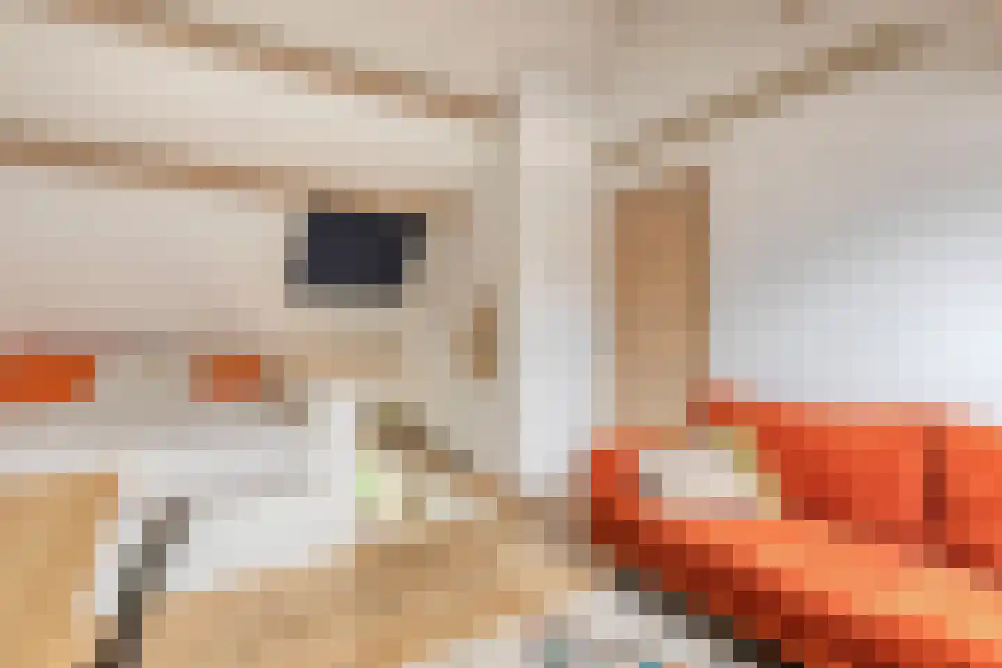 Schalmstraat 23 Eindhoven thumbnail 22
