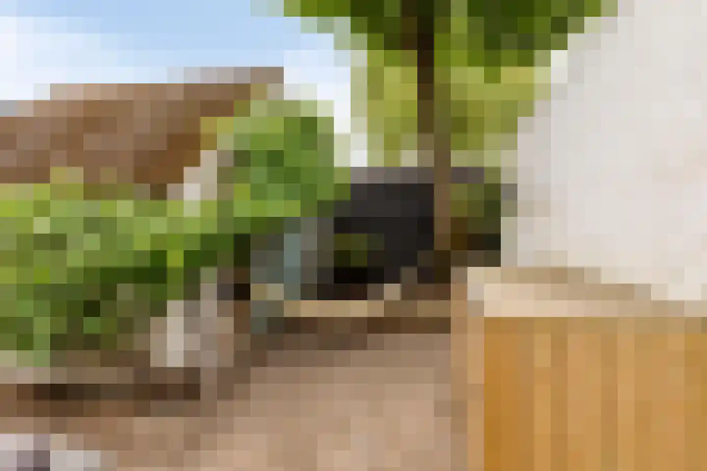 Schalmstraat 23 Eindhoven thumbnail 25