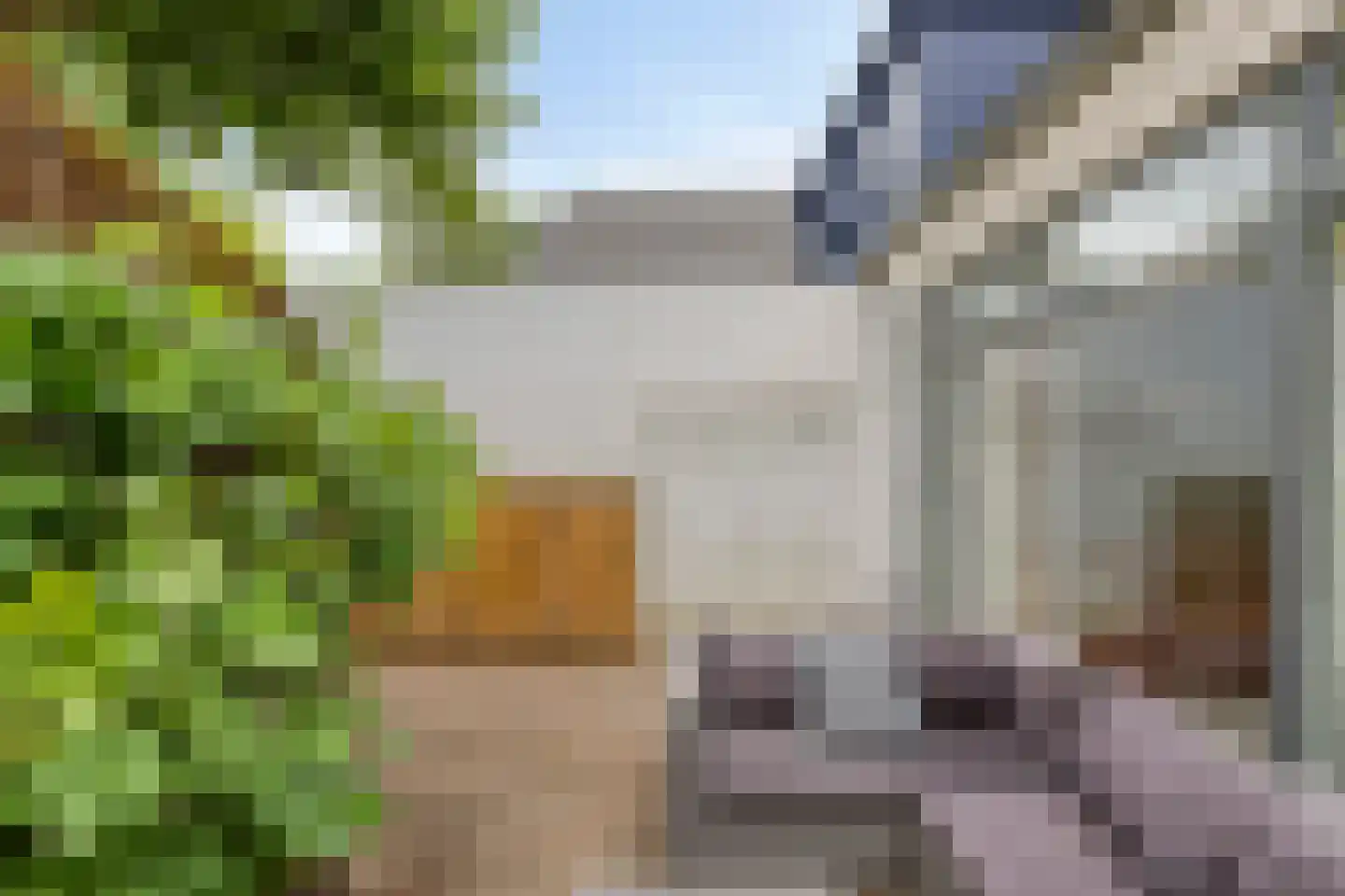 Schalmstraat 23 Eindhoven thumbnail 28