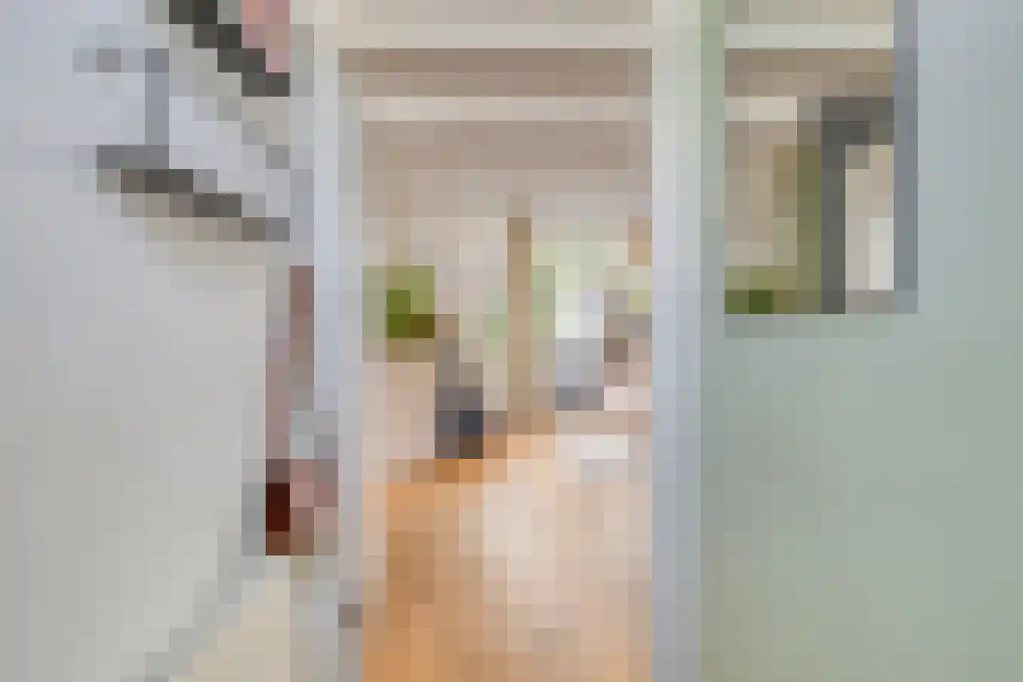 Schalmstraat 23 Eindhoven thumbnail 6