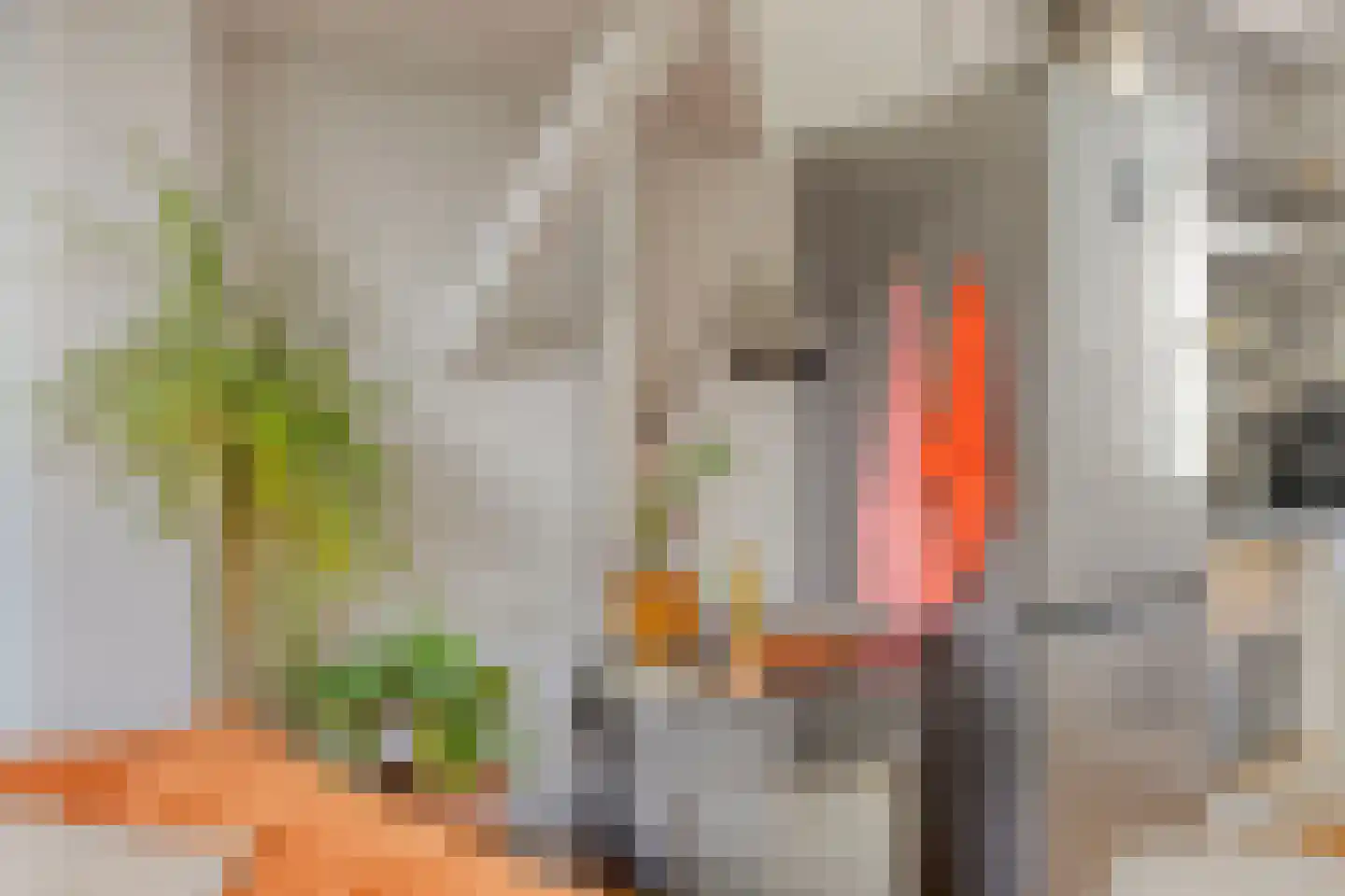 Schalmstraat 23 Eindhoven thumbnail 9