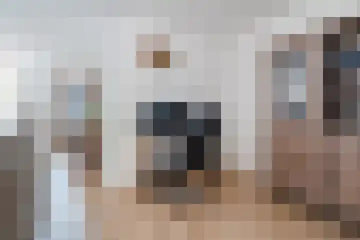 Schalmstraat 25 Eindhoven thumbnail 16