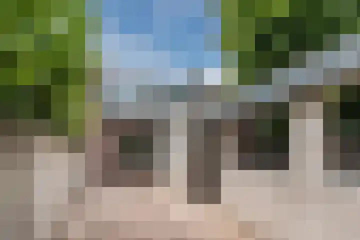 Schalmstraat 25 Eindhoven thumbnail 31