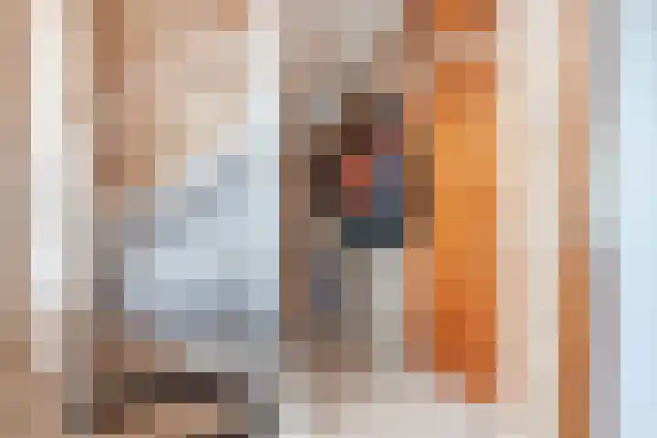 Schalmstraat 25 Eindhoven thumbnail 8