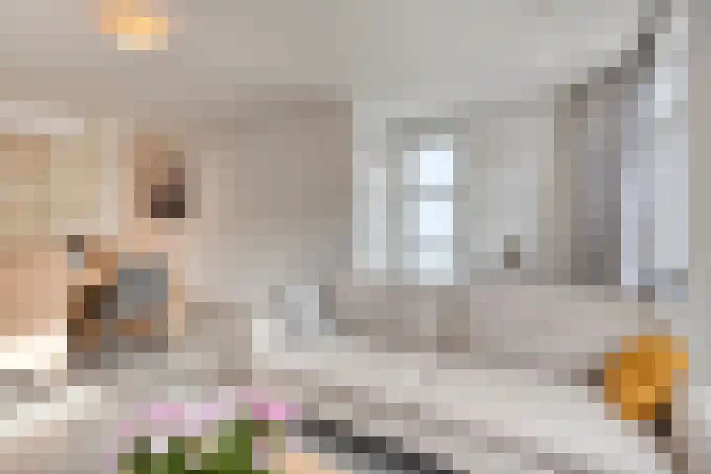Schalmstraat 38 Eindhoven thumbnail 4