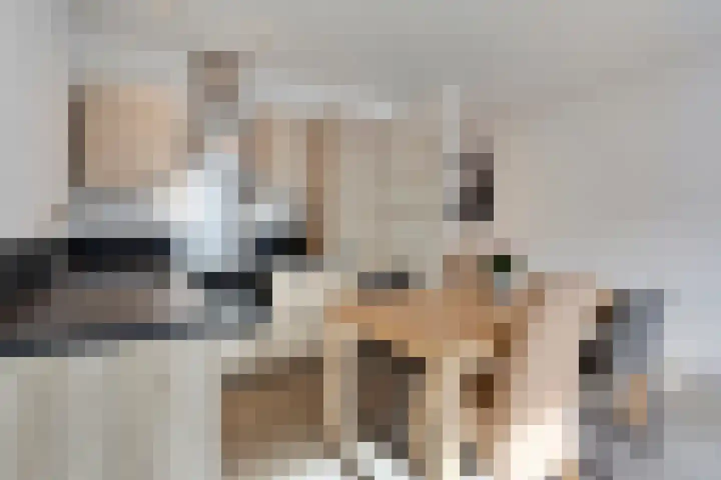 Schalmstraat 38 Eindhoven thumbnail 7