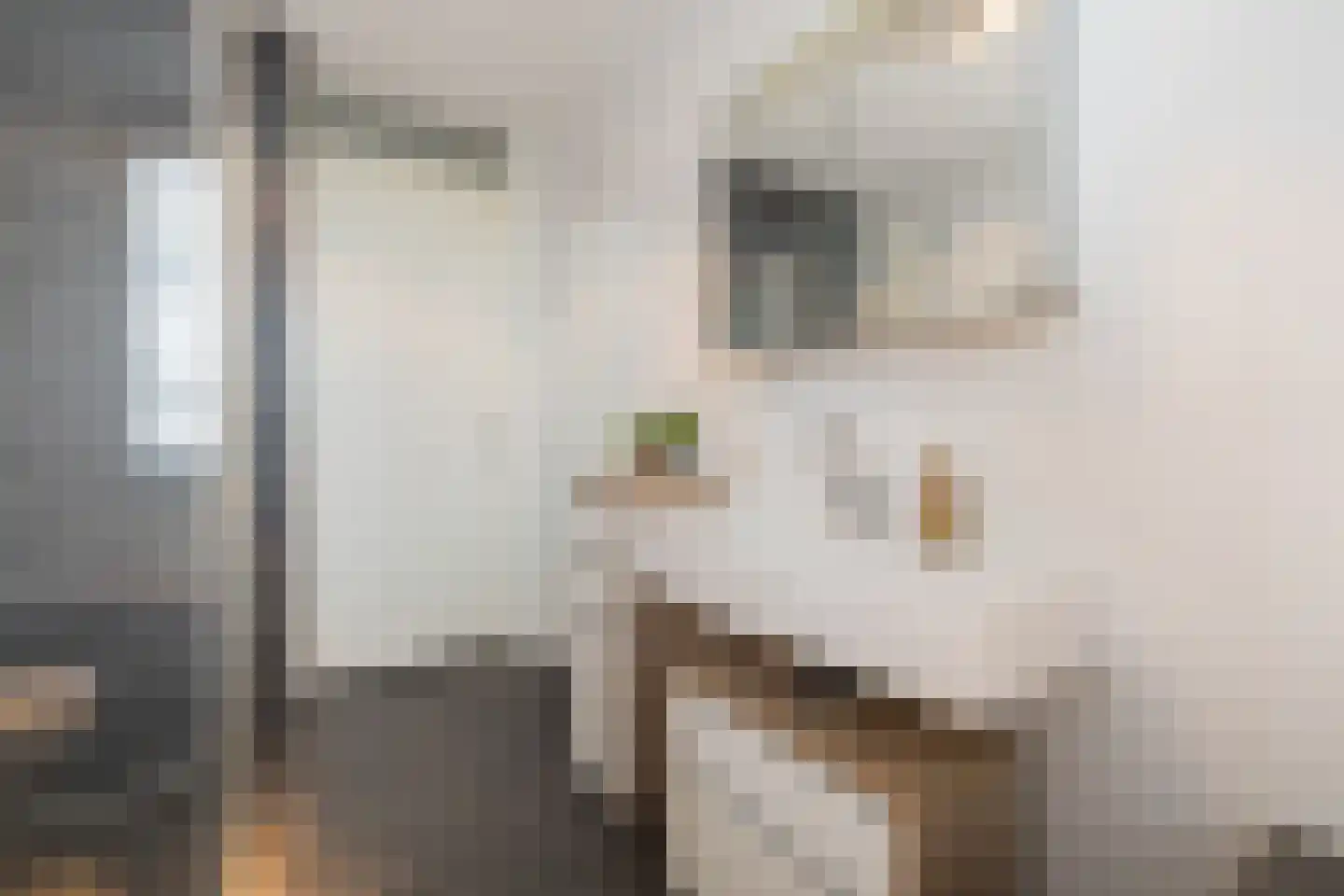Schalmstraat 8 B Eindhoven thumbnail 23