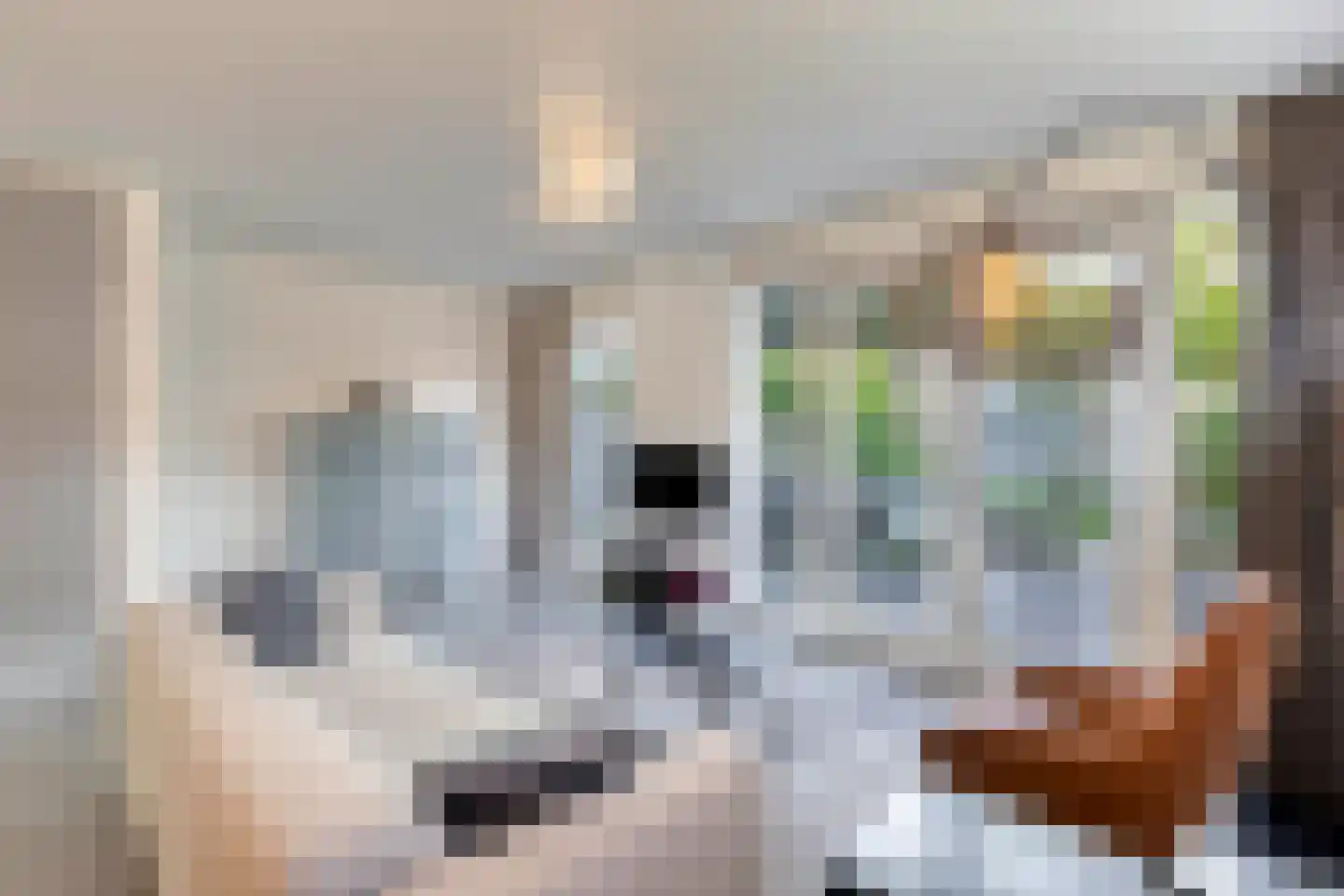 Schalmstraat 8 Eindhoven thumbnail 12
