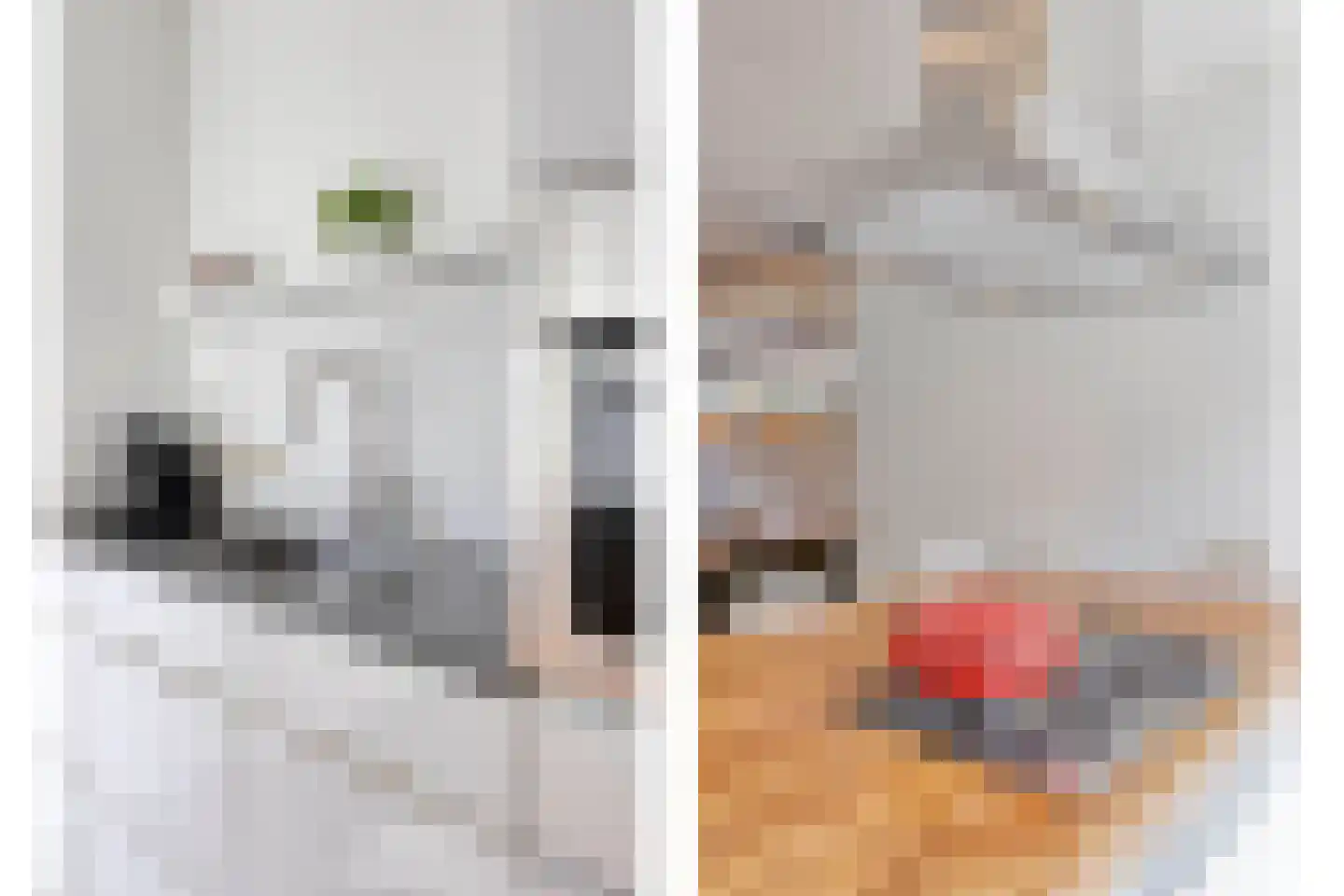 Schalmstraat 8 Eindhoven thumbnail 18