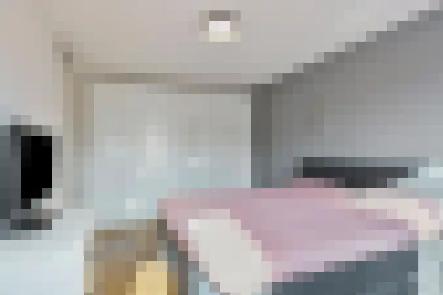Schalmstraat 8 Eindhoven thumbnail 21