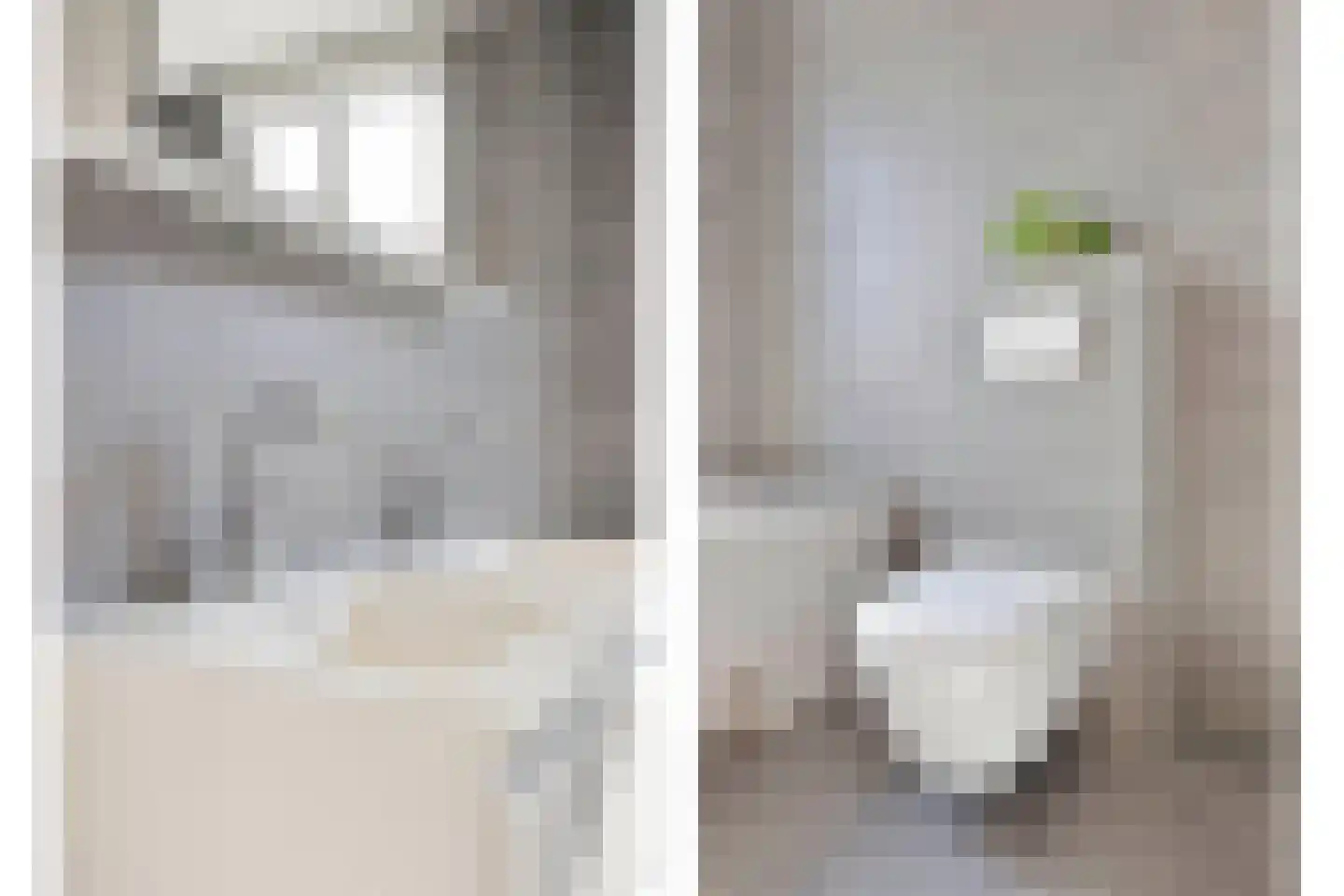 Schalmstraat 8 Eindhoven thumbnail 23