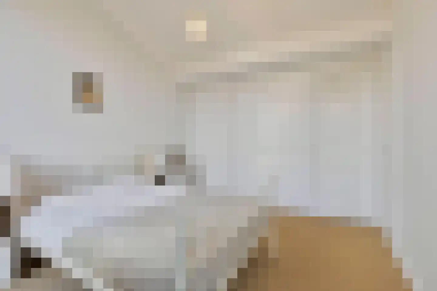 Schalmstraat 8 Eindhoven thumbnail 31