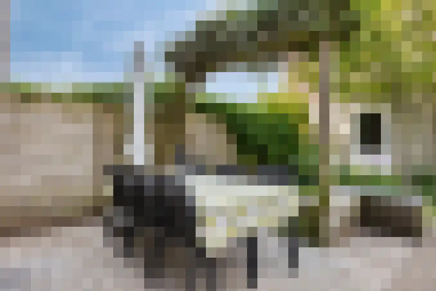 Schalmstraat 8 Eindhoven thumbnail 36