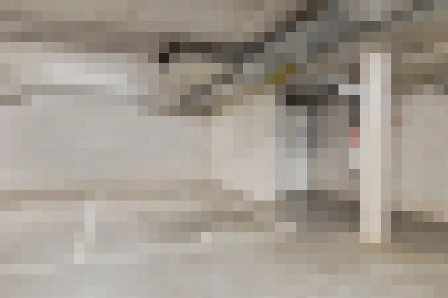 Schalmstraat 8 Eindhoven thumbnail 38