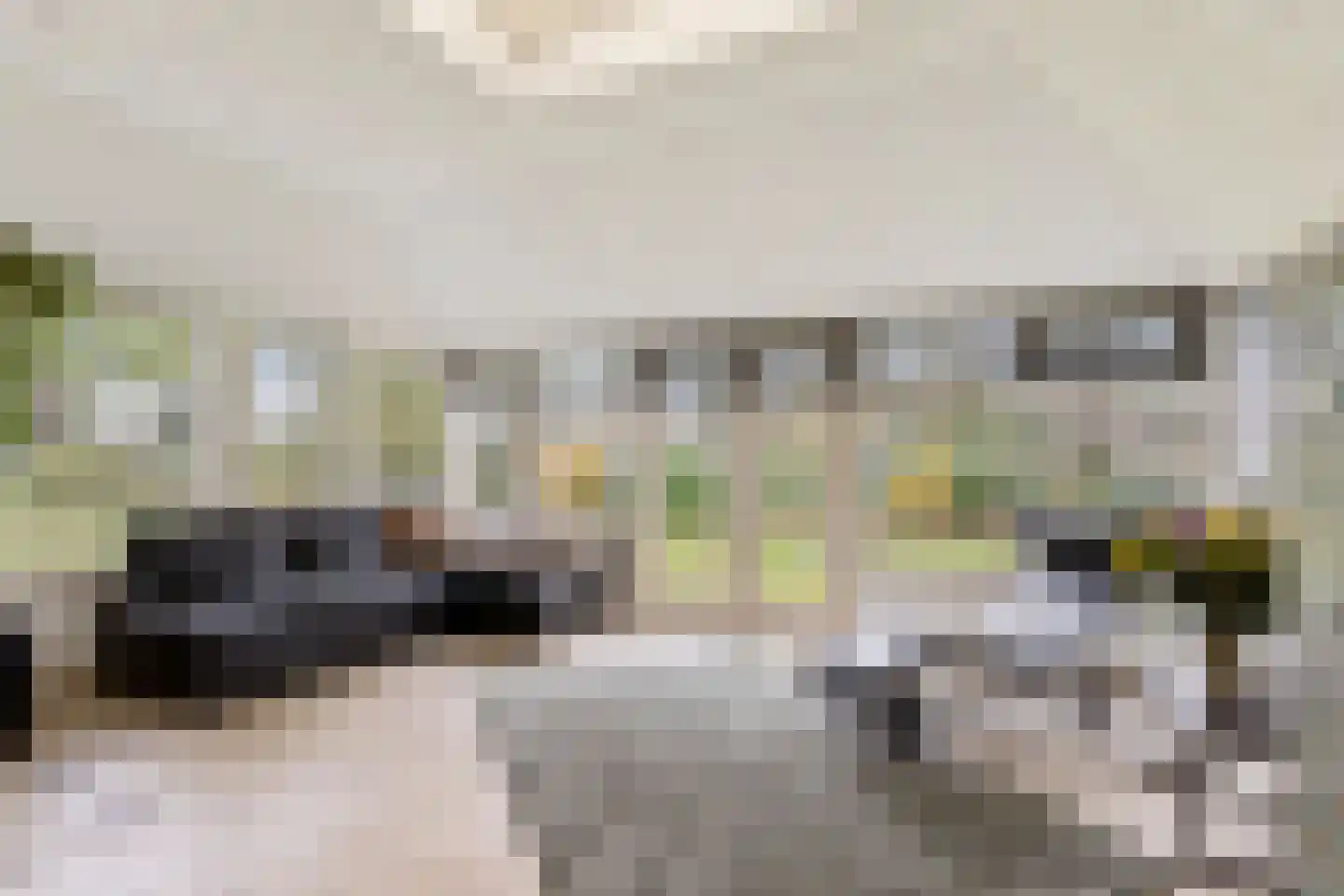 Schaluinen 1 a Baarle-Nassau thumbnail 14