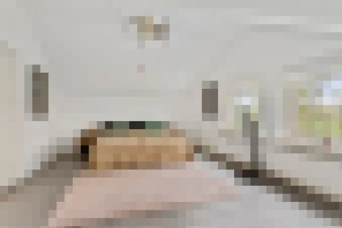 Schaluinen 1 a Baarle-Nassau thumbnail 22
