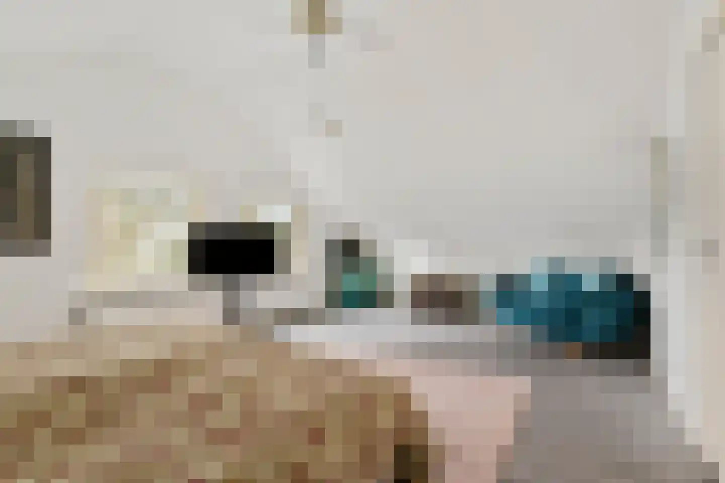 Schaluinen 1 a Baarle-Nassau thumbnail 23