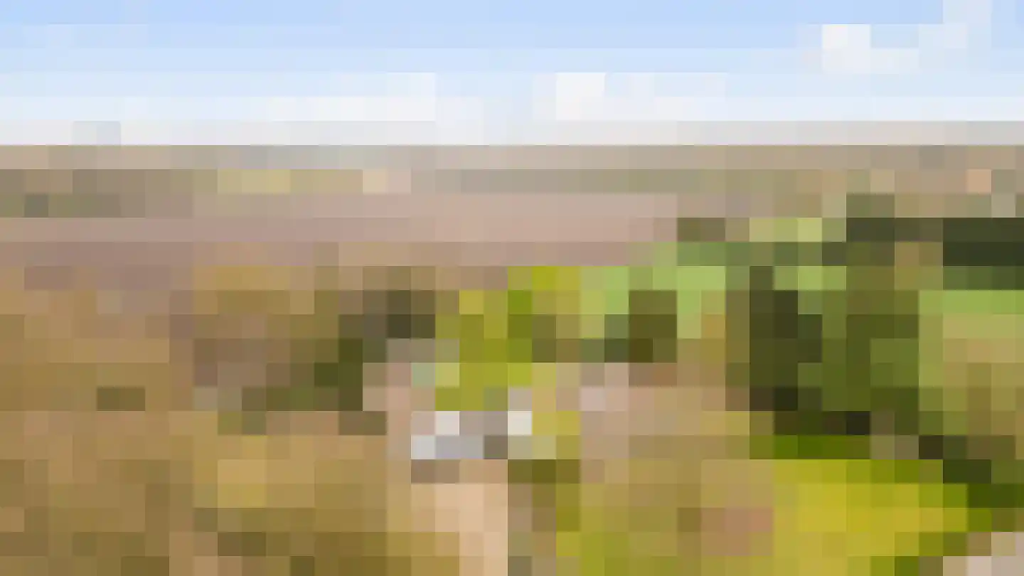 Schaluinen 1 a Baarle-Nassau thumbnail 36