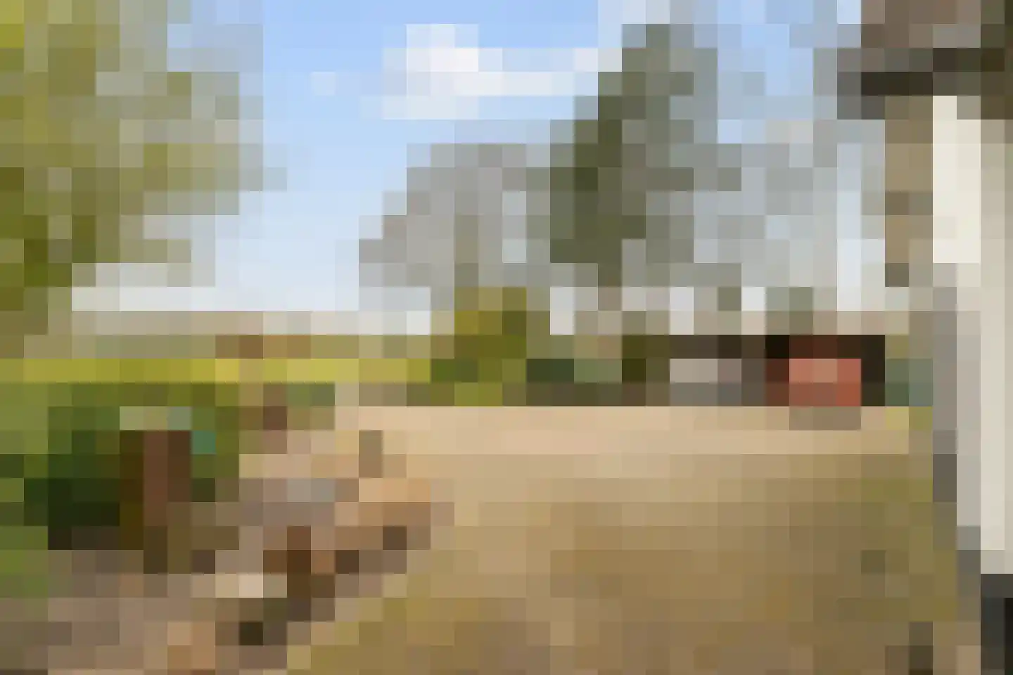 Schaluinen 1 a Baarle-Nassau thumbnail 39