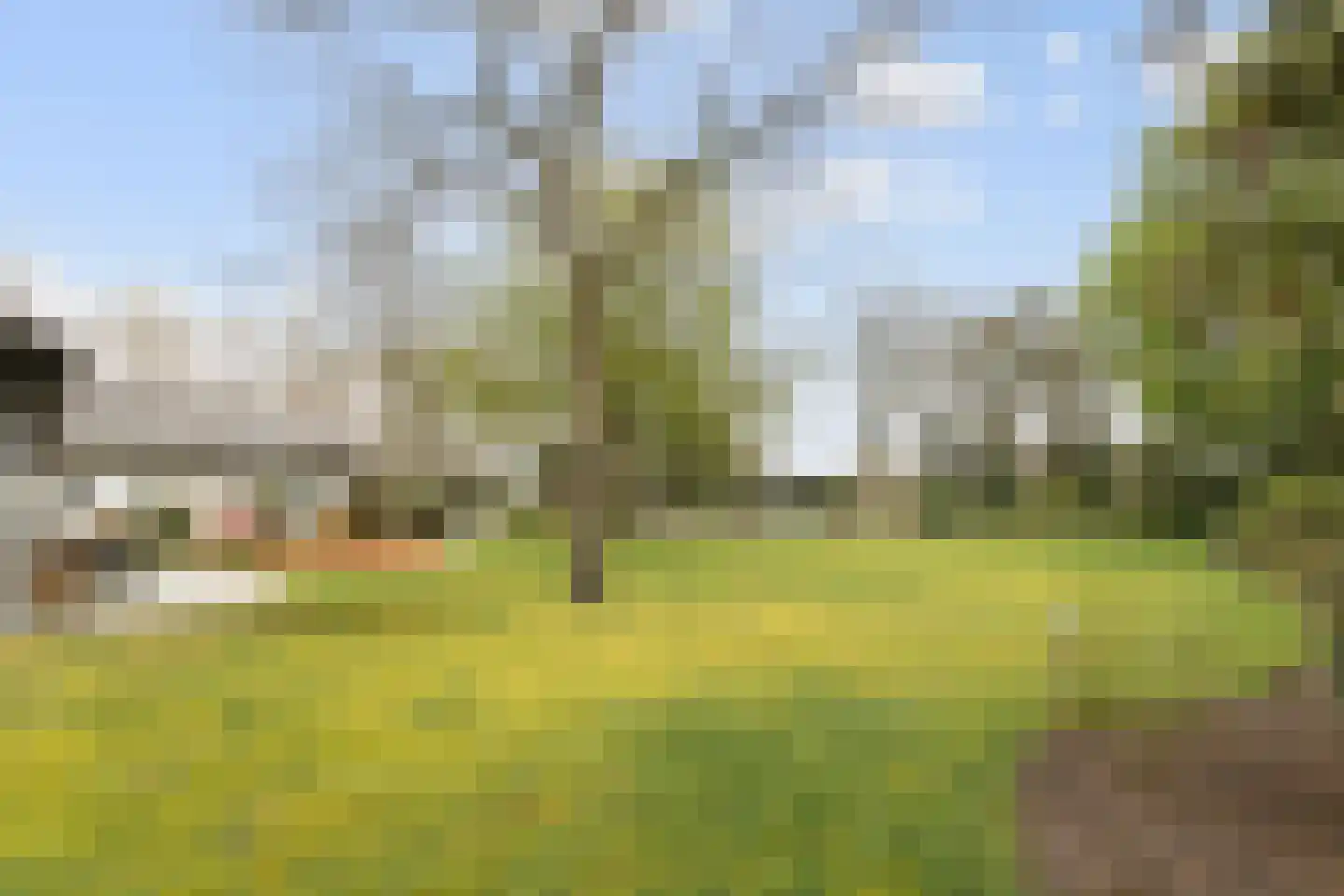 Schaluinen 1 a Baarle-Nassau thumbnail 41