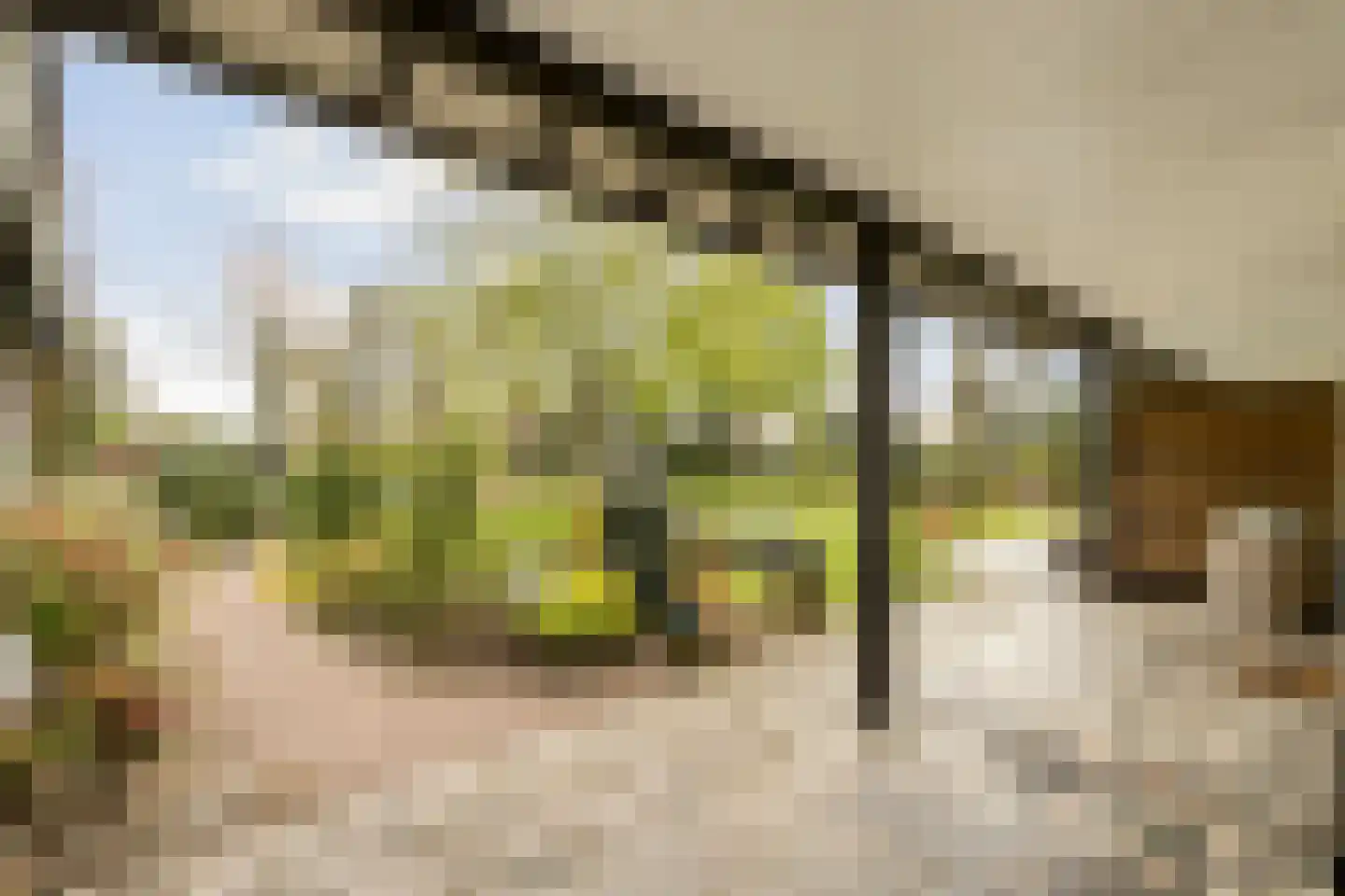 Schaluinen 1 a Baarle-Nassau thumbnail 45