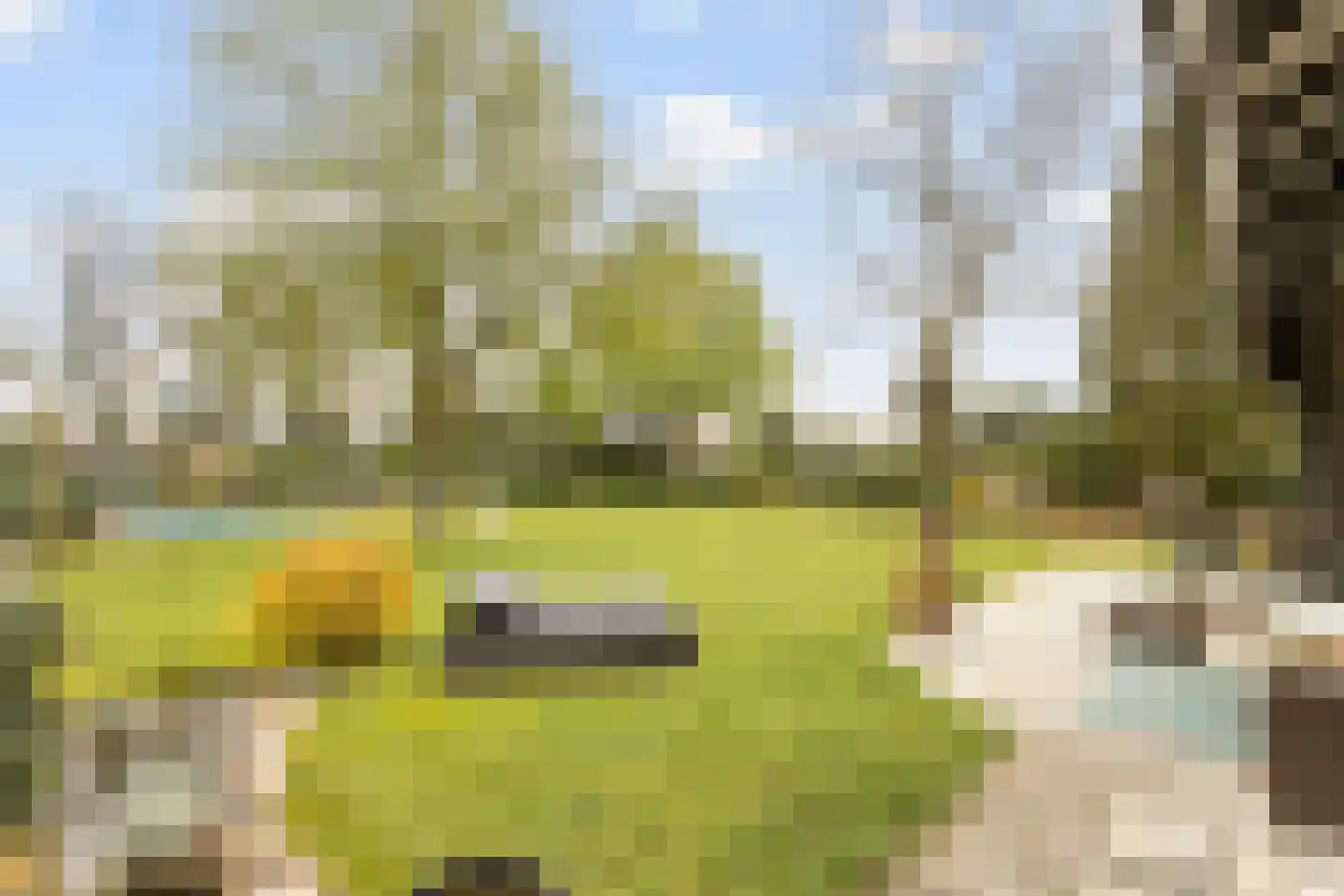 Schaluinen 1 a Baarle-Nassau thumbnail 47