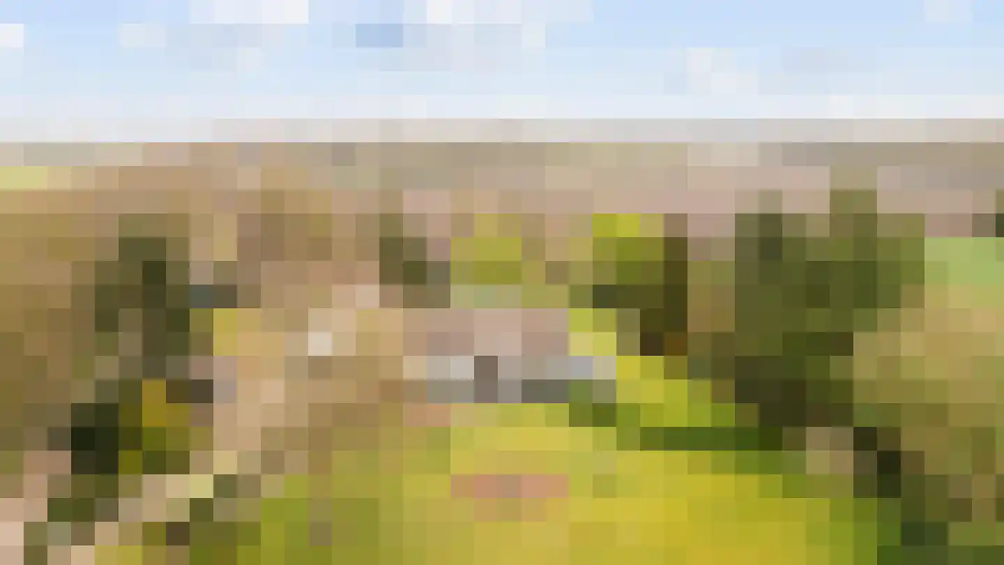 Schaluinen 1 a Baarle-Nassau thumbnail 54