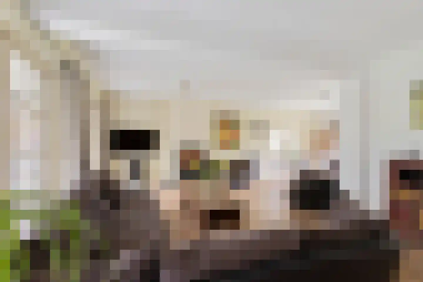 Schaluinen 1 a Baarle-Nassau thumbnail 7