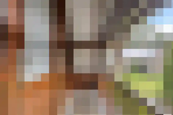 Schaluinen 11 b 128 Baarle-Nassau thumbnail 16