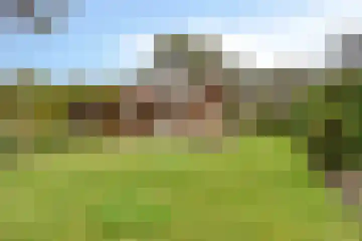 Schaluinen 11 b 128 Baarle-Nassau thumbnail 19