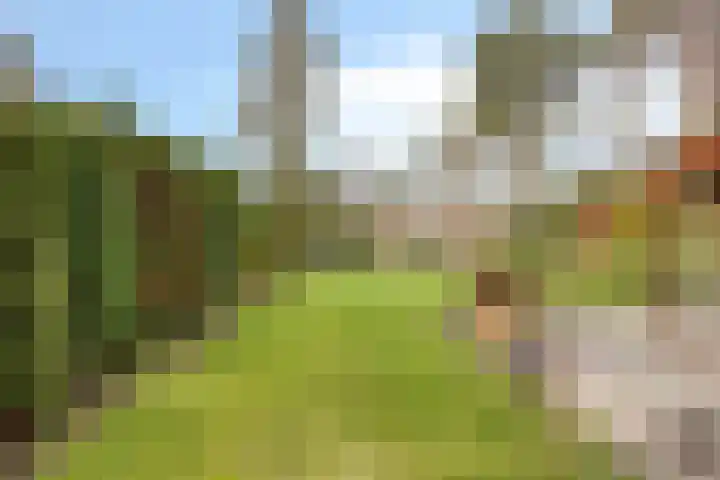 Schaluinen 11 b 128 Baarle-Nassau thumbnail 20