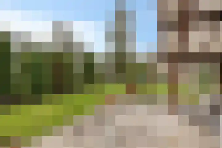 Schaluinen 11 b 128 Baarle-Nassau thumbnail 21