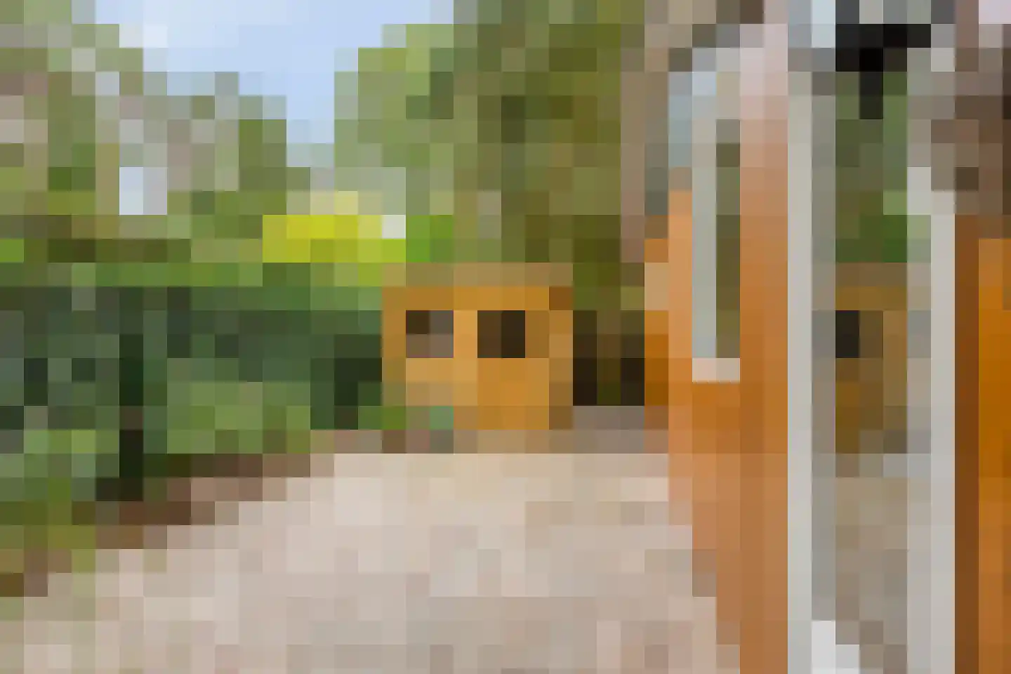 Schaluinen 11 b 142 Baarle-Nassau thumbnail 31