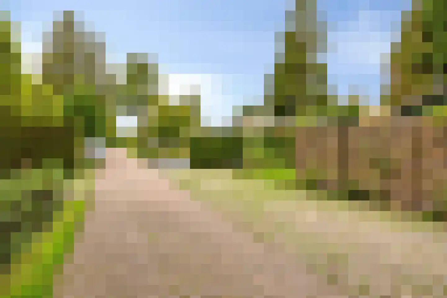 Schaluinen 11 b 142 Baarle-Nassau thumbnail 33