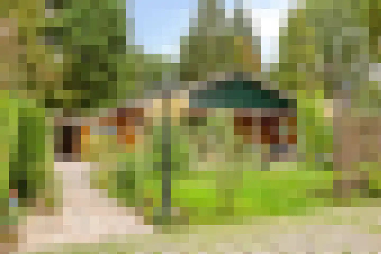 Schaluinen 11 b 142 Baarle-Nassau thumbnail 4