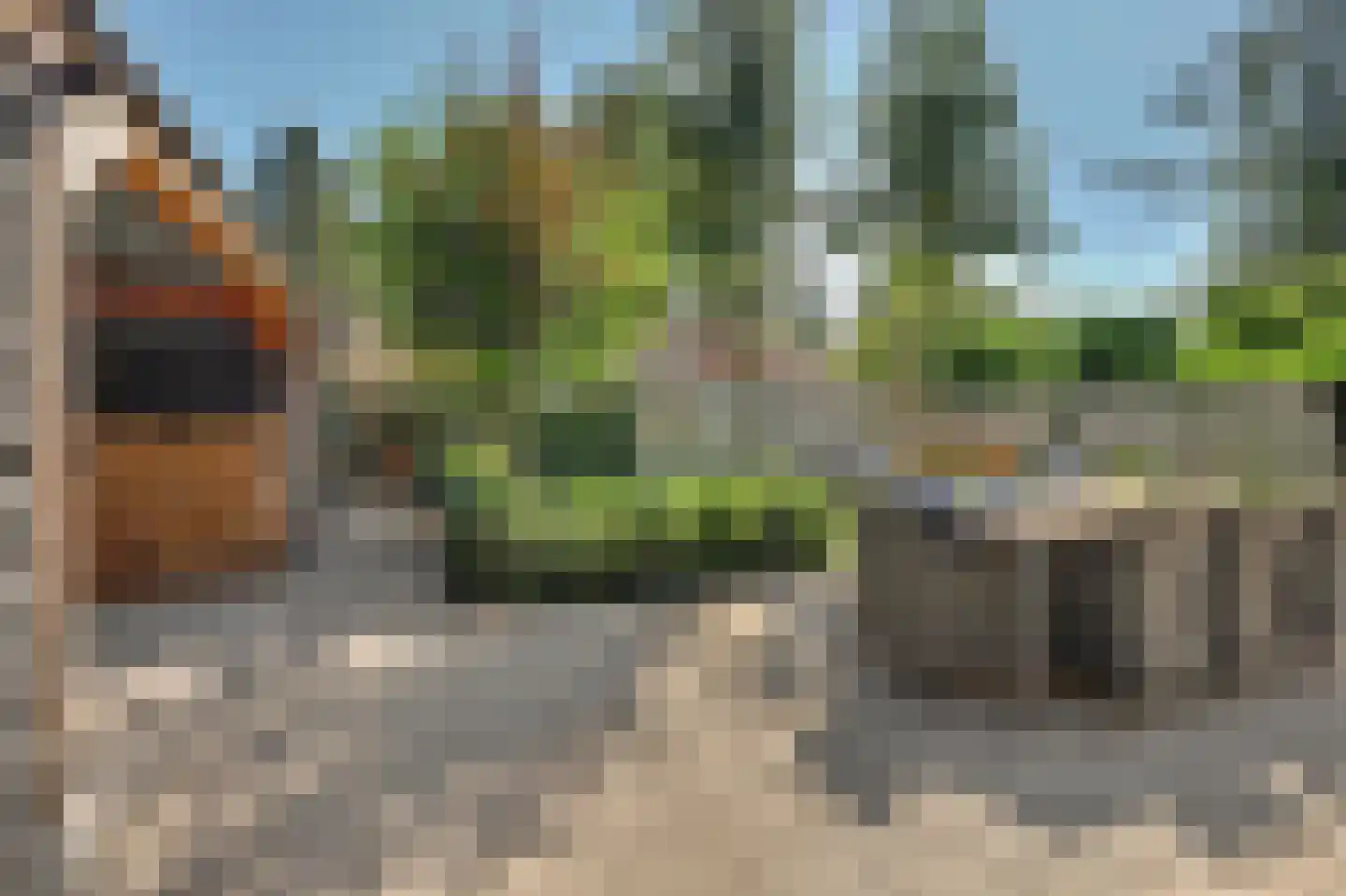 Schaluinen 11 b 172 Baarle-Nassau thumbnail 32