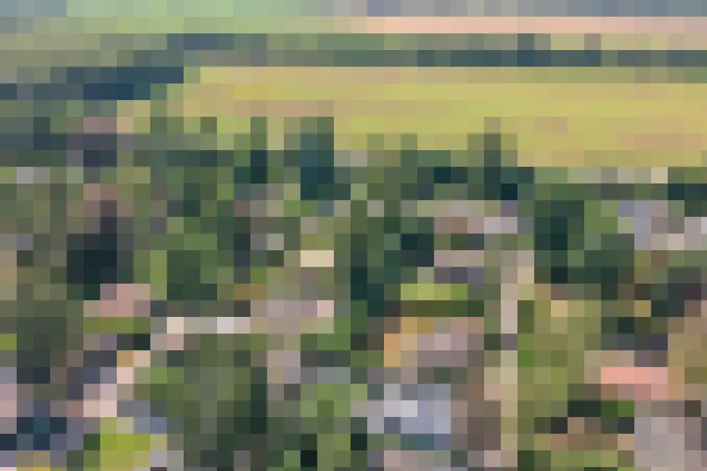 Schaluinen 11 b 172 Baarle-Nassau thumbnail 49