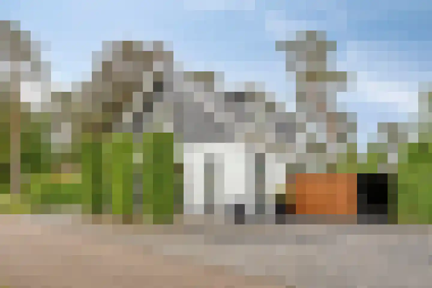 Schaluinen 11 b 204 dans Baarle-Nassau