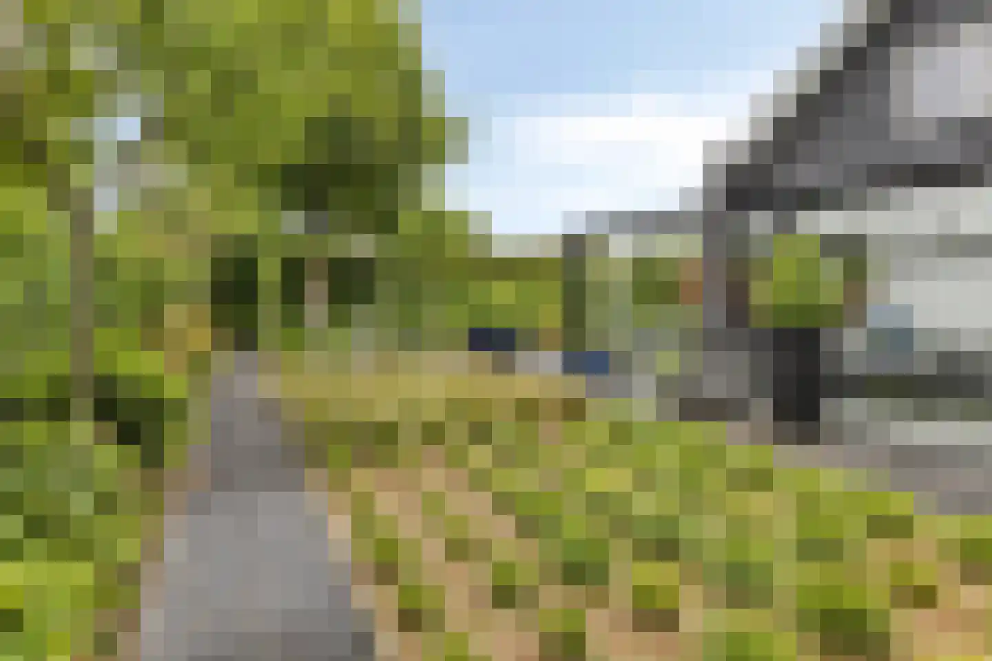 Schaluinen 11 b 204 Baarle-Nassau thumbnail 43