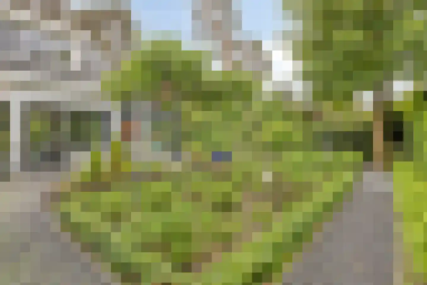 Schaluinen 11 b 204 Baarle-Nassau thumbnail 46