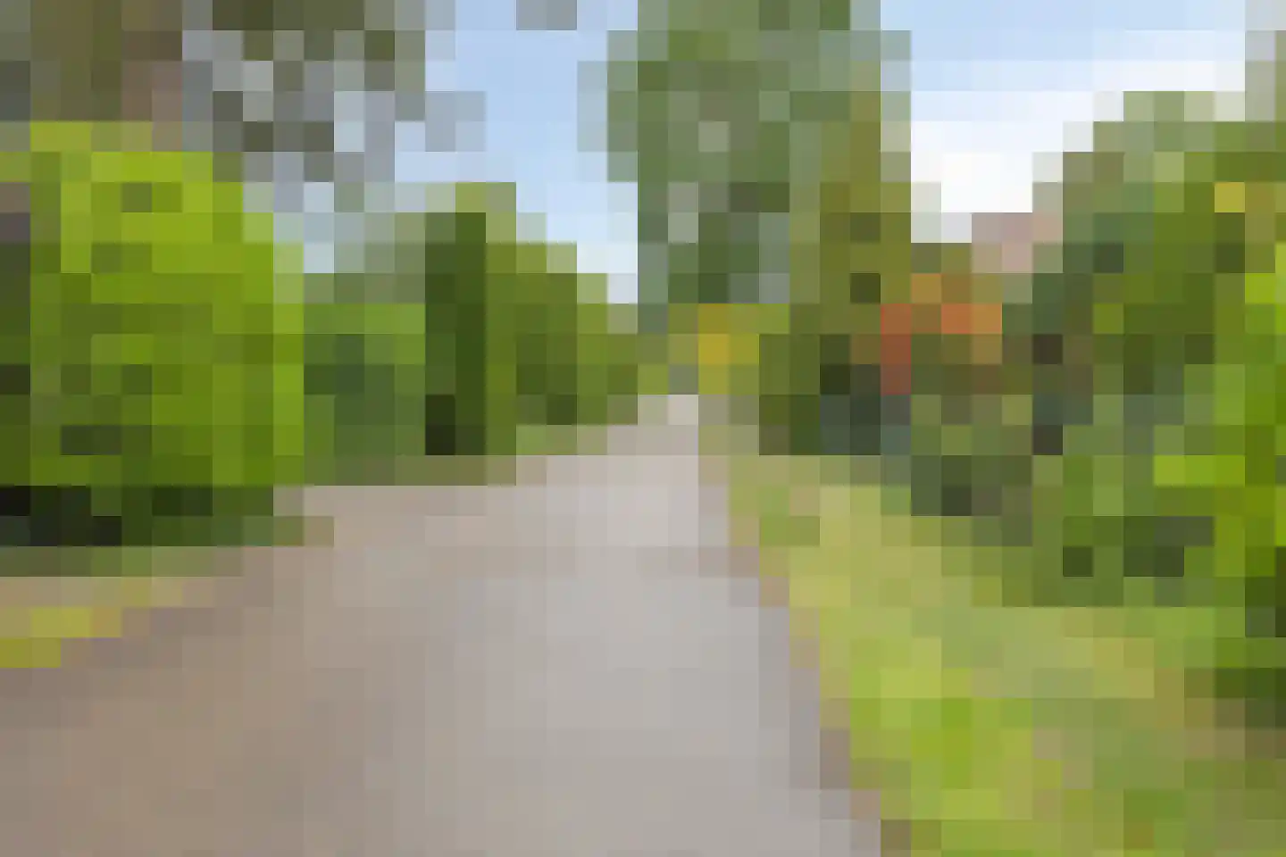Schaluinen 11 b 204 Baarle-Nassau thumbnail 56