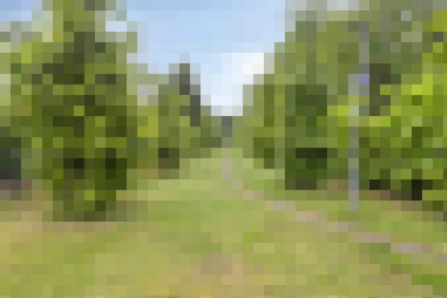 Schaluinen 11 b 204 Baarle-Nassau thumbnail 57