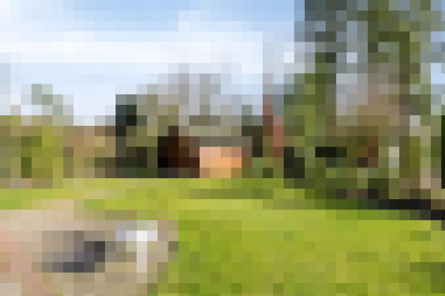 Schaluinen 11 b 251 Baarle-Nassau thumbnail 21