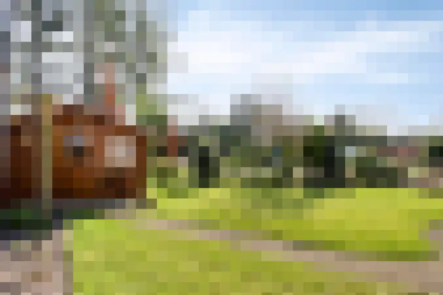 Schaluinen 11 b 251 Baarle-Nassau thumbnail 22