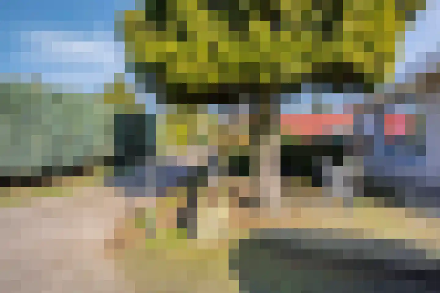 Schaluinen 11 b 251 Baarle-Nassau thumbnail 26