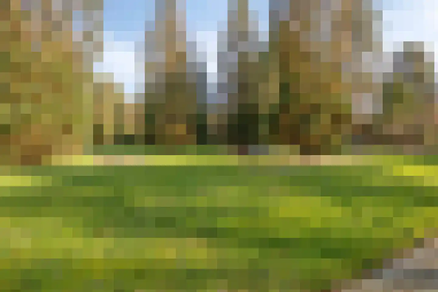 Schaluinen 11 b 251 Baarle-Nassau thumbnail 27