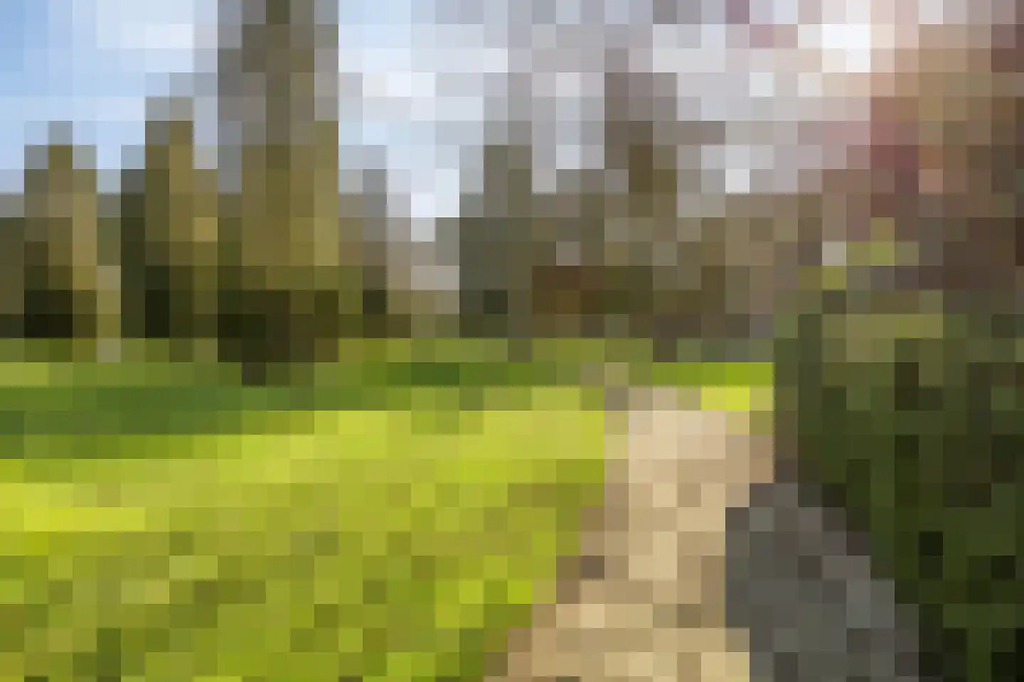 Schaluinen 11 b 251 Baarle-Nassau thumbnail 28