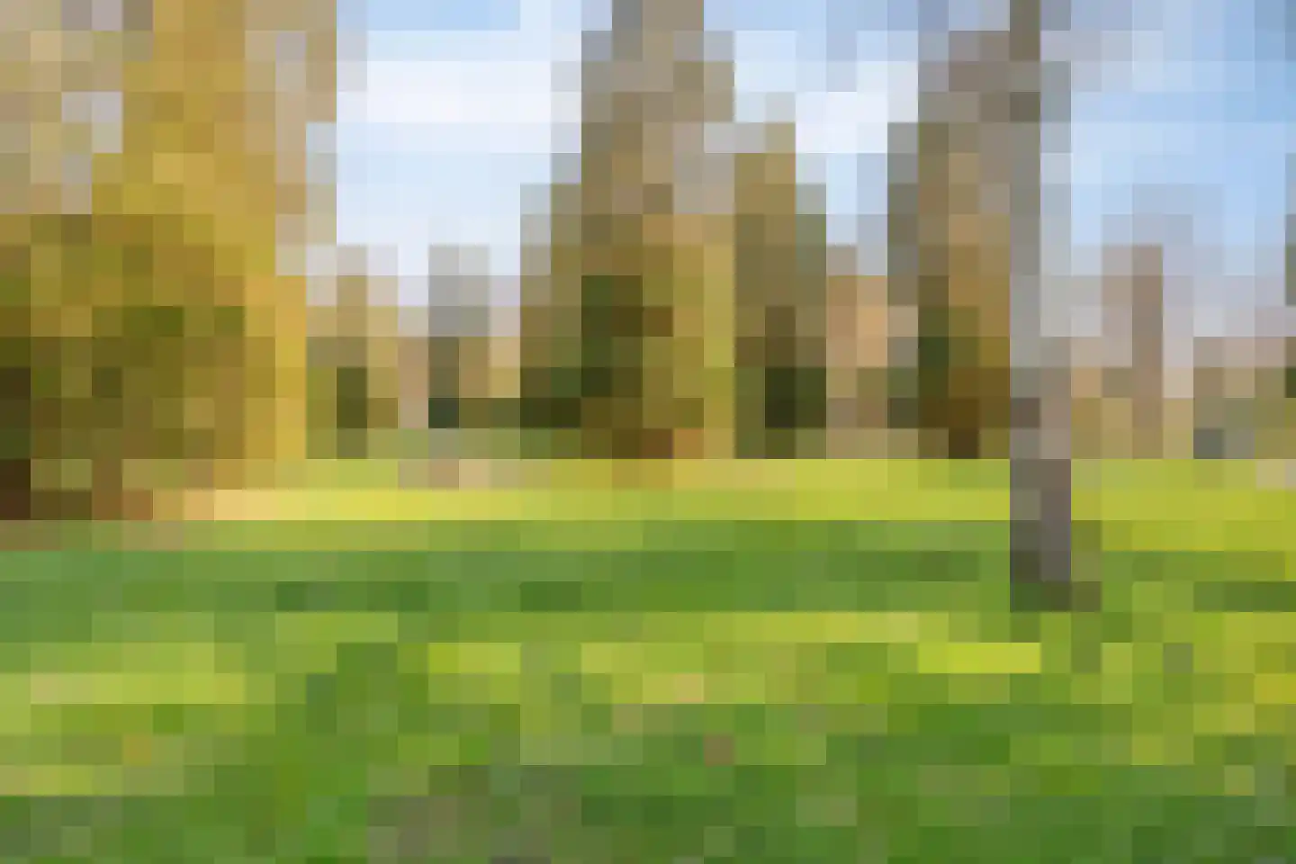 Schaluinen 11 b 251 Baarle-Nassau thumbnail 29